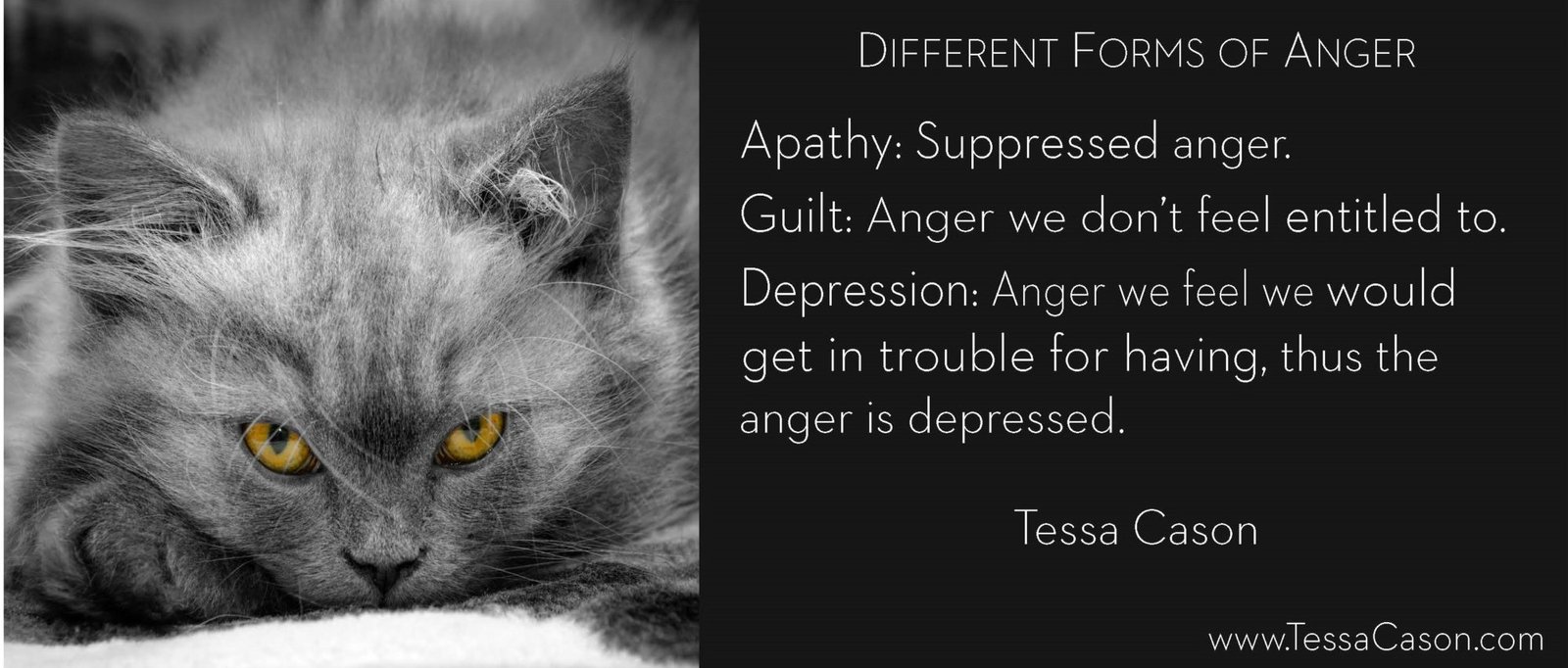  Different Forms Of Anger Tessa Cason