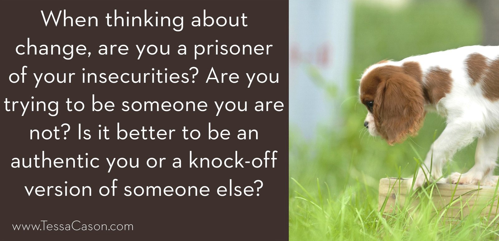 Are you a prisoner of your insecurities