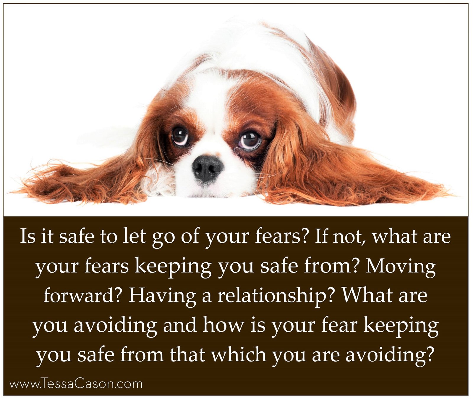 Is it safe to let go of your fears